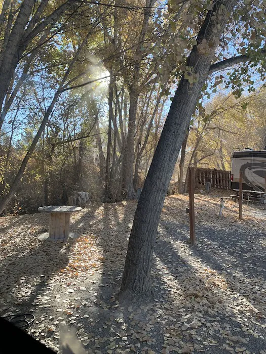 Picketts RV Park 3