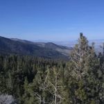 Humboldt-Toiyabe National Forest