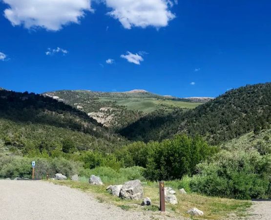 Bird Creek Campground