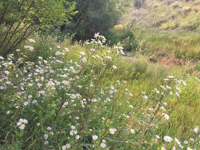 Bird Creek Campground 1