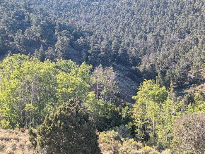 Bird Creek Campground 3