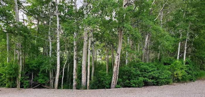 Bird Creek Campground 6