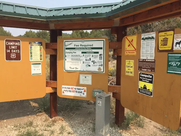Bird Creek Campground 8