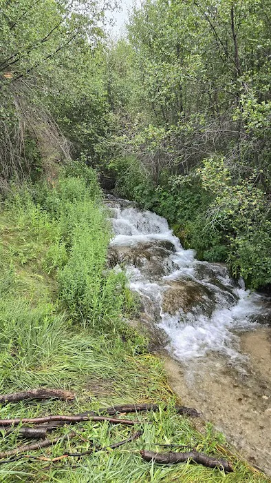 Bird Creek Campground 7