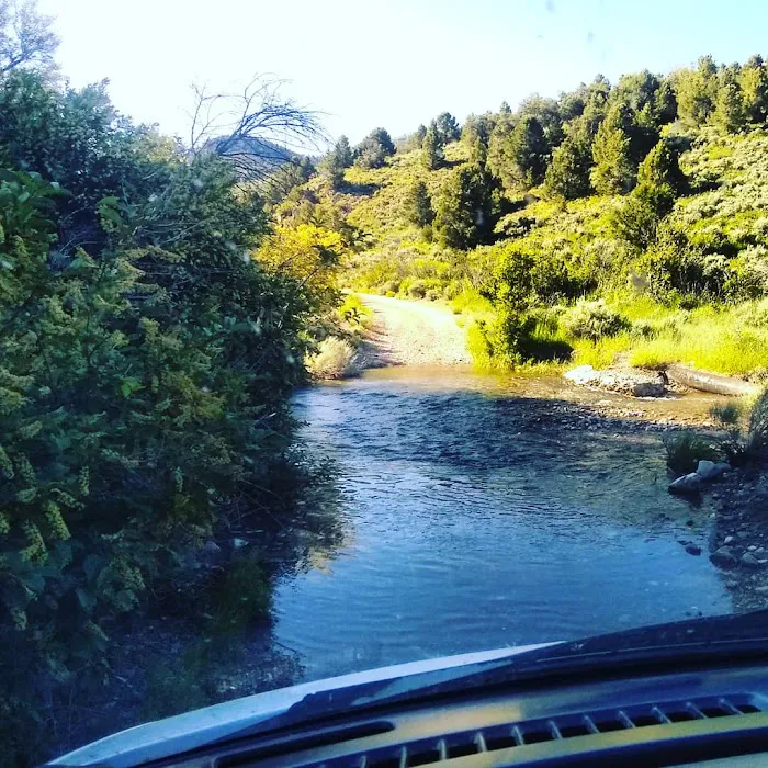 Berry Creek Campground 9