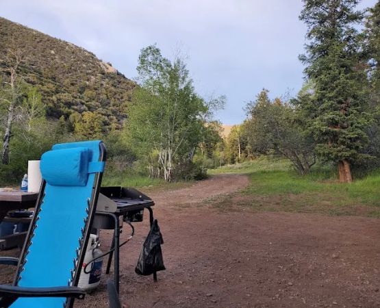Berry Creek Campground