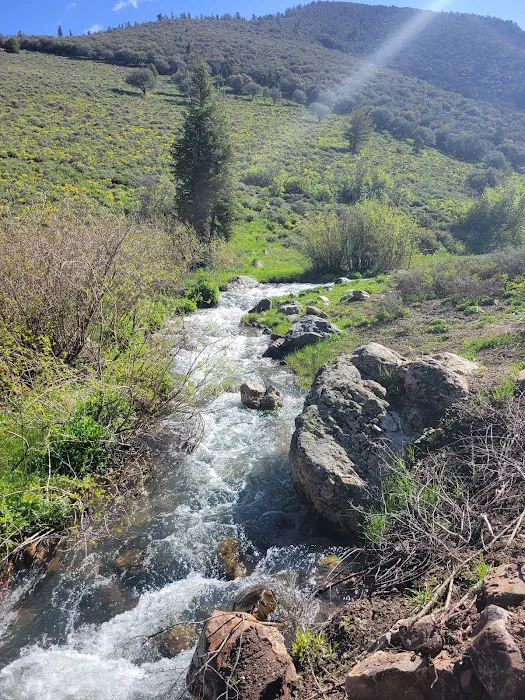 Berry Creek Campground 1