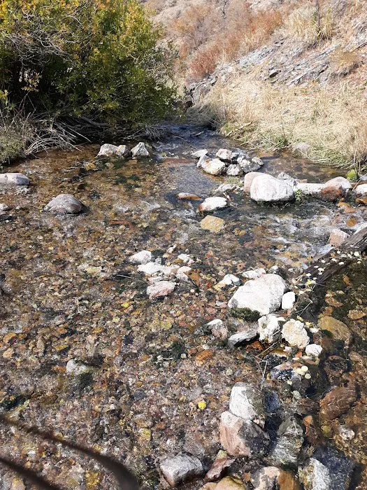 Berry Creek Campground 3
