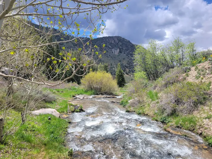 Berry Creek Campground 4