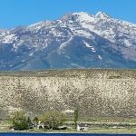 Coyote Cove Campground