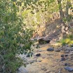 Desert Creek Campground