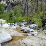 Fall Creek Trail Camp