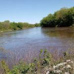 Walnut Woods State Park