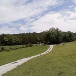 Kings Crossing RV Park and Campground