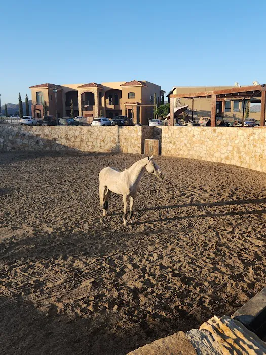 Indómito Glamping Resort 3