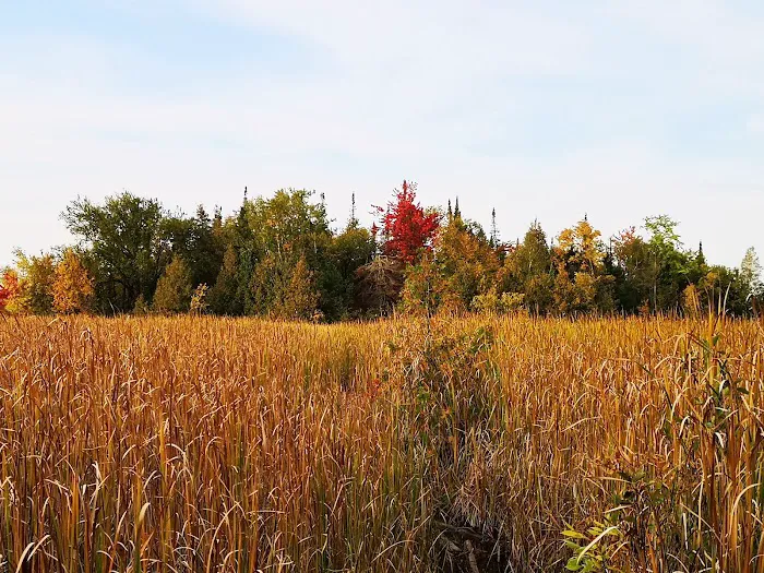 Emily Provincial Park 2