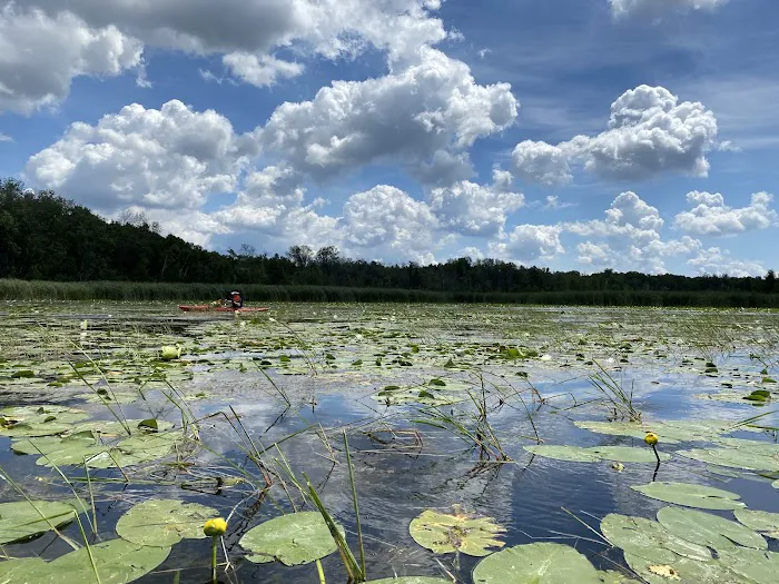 Emily Provincial Park 3