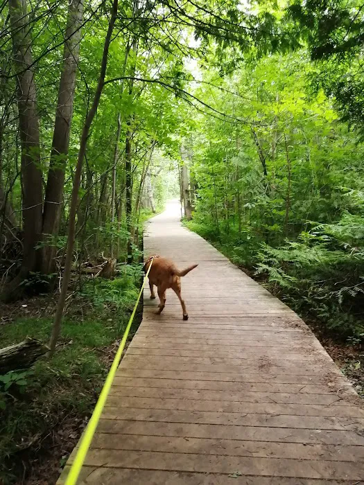 Emily Provincial Park 6