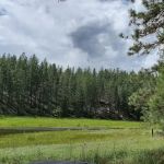 Summer Island Campground