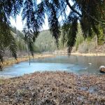 Trout Lake Campground