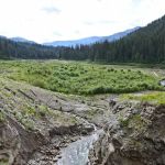 Mill Pond Campground