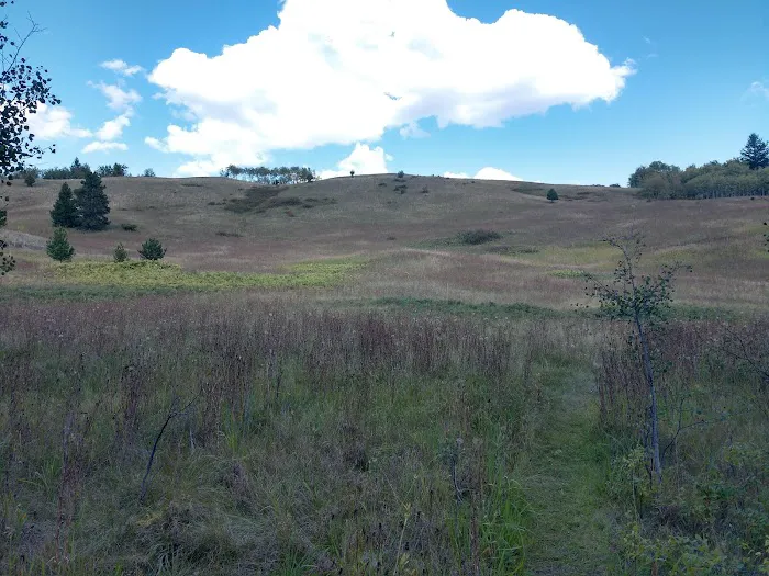 big country campground & RV site 7