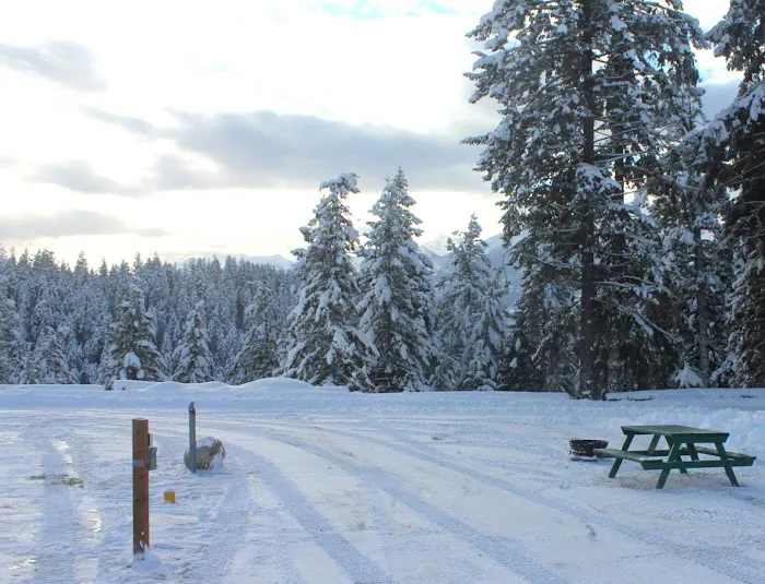 Whispering Spruce Campground 1