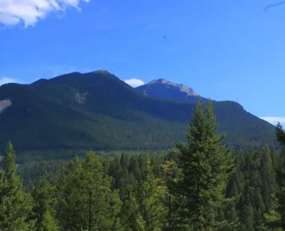Whispering Spruce Campground