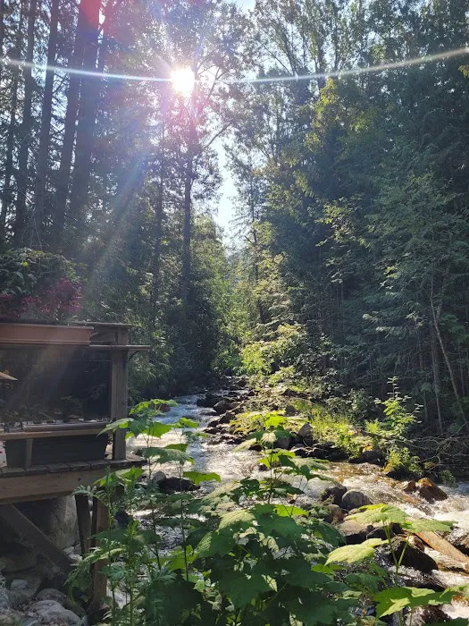Gray Creek Camping Resort 2