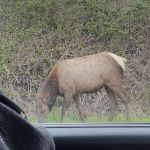 Kampers West Kampground