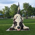 Island Grove Regional Park