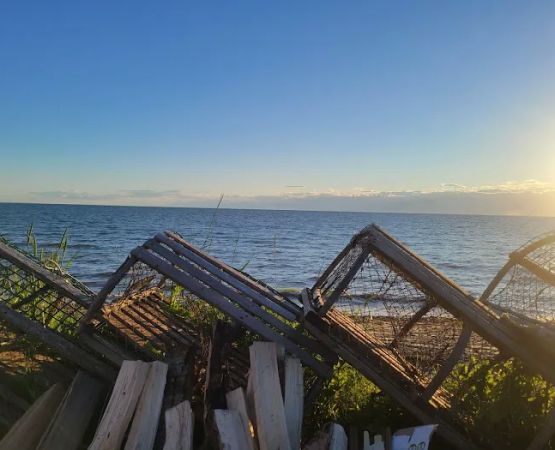 Camping La Vague