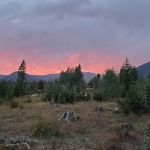 Teal Lake Campground