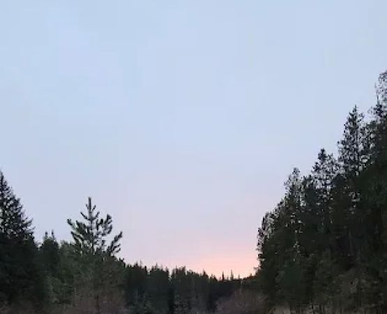 Timon Campground