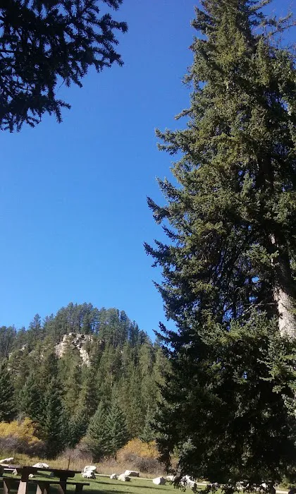 Timon Campground 1