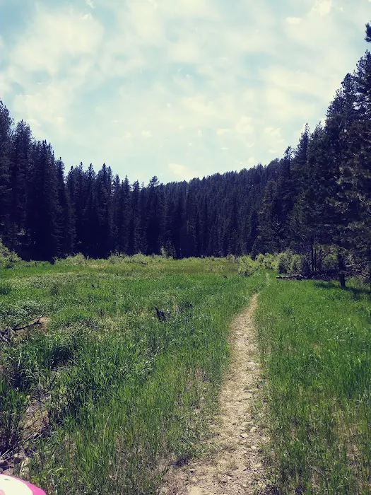 Timon Campground 9