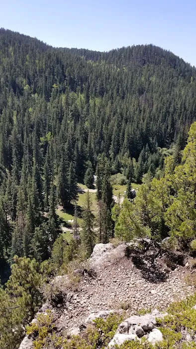 Timon Campground 5