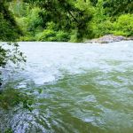 Windy Point Campground