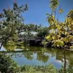 Medicine Park Primitive Campground