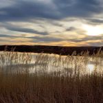 Black Kettle Campground
