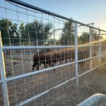 Rockwell RV Park & Campground