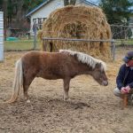 Crystal Creeks RV Park formerly Baron Fork Creek