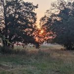 Paradise Acres Campgrounds