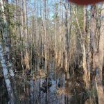 Blackwater River State Park