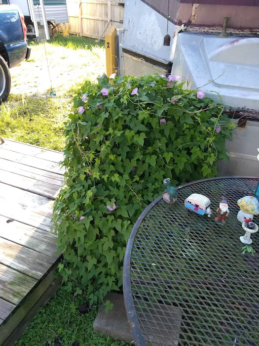 Nella's RV Park 4