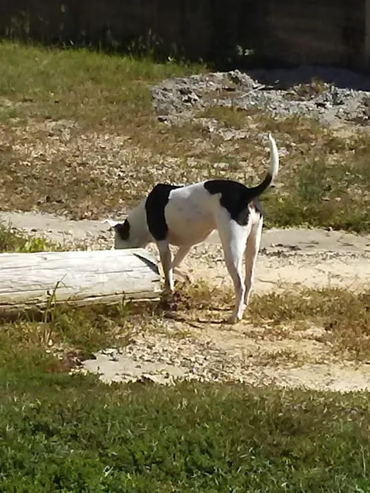 Nella's RV Park 3