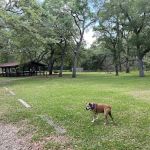 Davis Bayou Campground