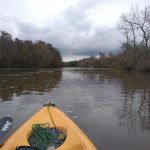 WMA Pearl River WMA Camp Grounds