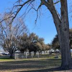 River View RV Park and Resort