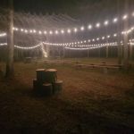 Missihippie Camping and Berries